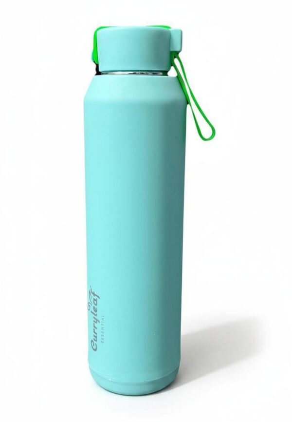 MINT GREEN 750 ML STAINLESS STEEL WATER BOTTLE WITH LEAKPROOF LID & SILICONE STRAP – INSULATED, RUST-FREE, ECO-FRIENDLY BOTTLE FOR HOT & COLD BEVERAGES – CURRYLEAF ESSENTIAL BOTTLE FOR OFFICE, GYM, SCHOOL & TRAVEL